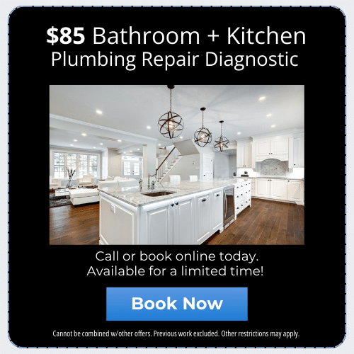 $85 Bathroom + Kitchen Plumbing Diagnostic