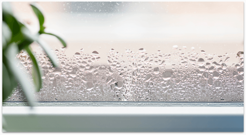 Humidity on window