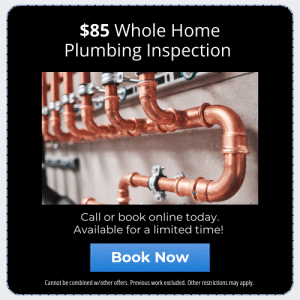 Whole Home Plumbing Inspection Offer